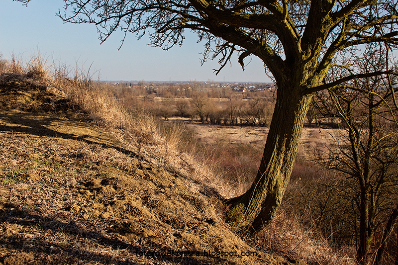 świętokrzyskie, rowerem, Winna Góra, Winnica, Wisła 