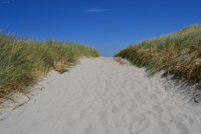 Gran Canaria Reise Info Hinter Jeder Wegbiegung Kann Das