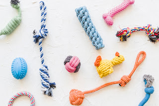 What Are The Best Dog Toys?