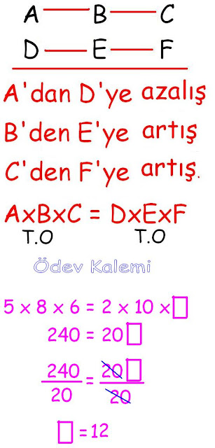 5. Sınıf Matematik Dersi Oran - Orantı Konu Anlatımı, Oran ve Orantı