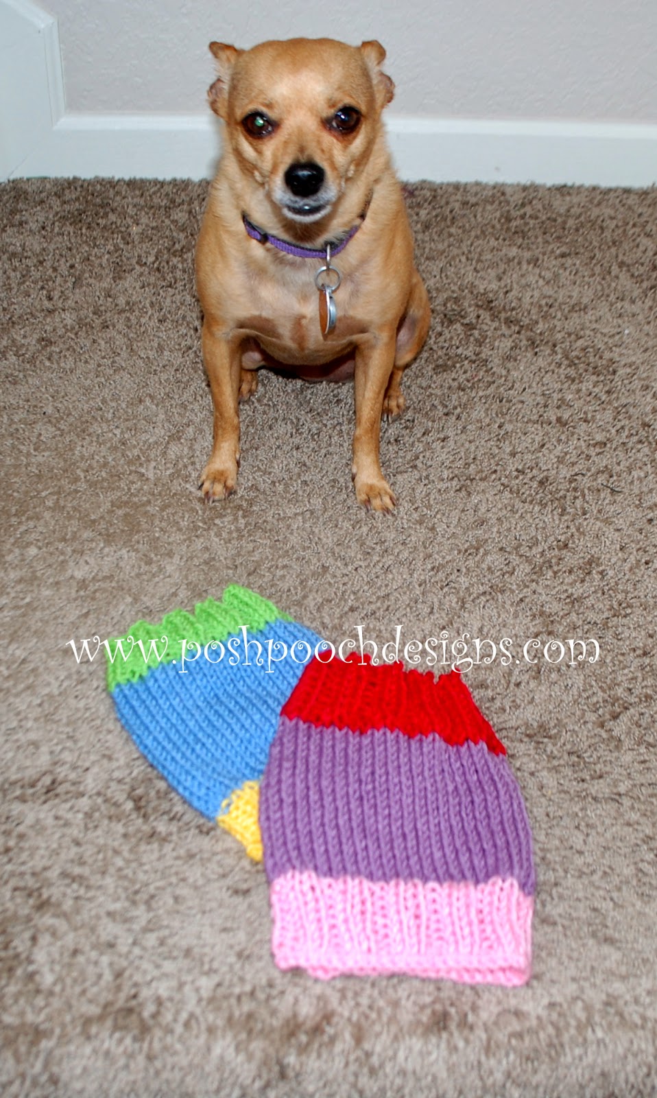 Posh Pooch Designs Colors Dog Snood Free Knitting Pattern Posh