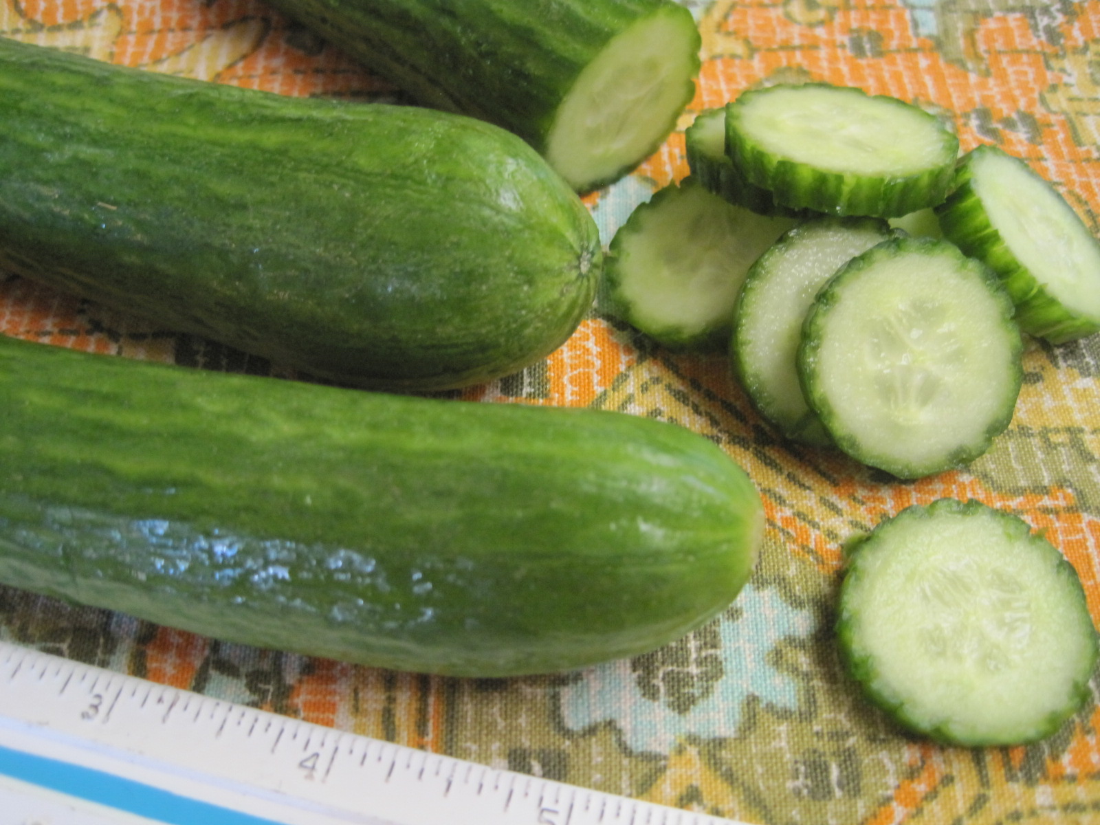 Mom's Cooking Help Persian Cucumbers What Are They and How Do I Use Them?