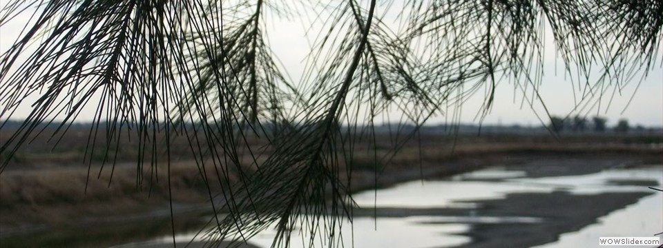 vecinos Autoconvocados por el No a la Basura en Pérez