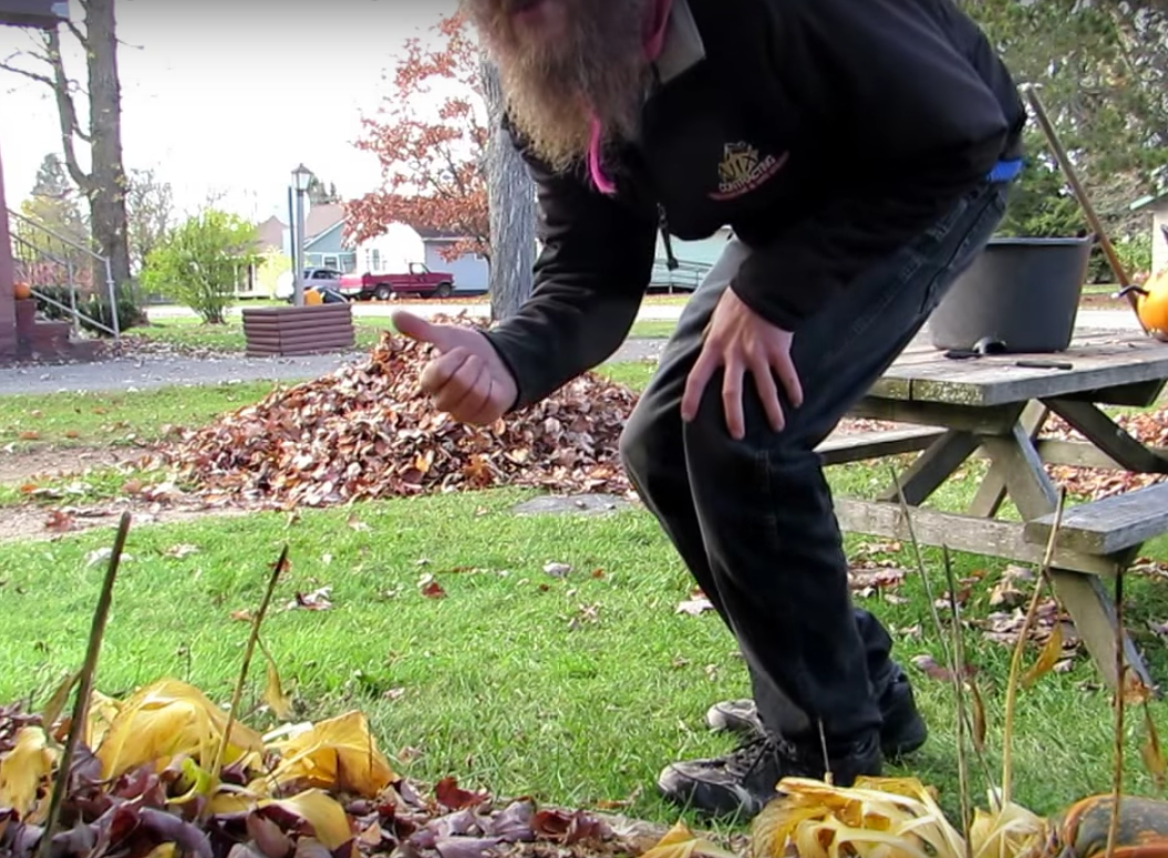 Firuz Kuh Glucksberg 5 In