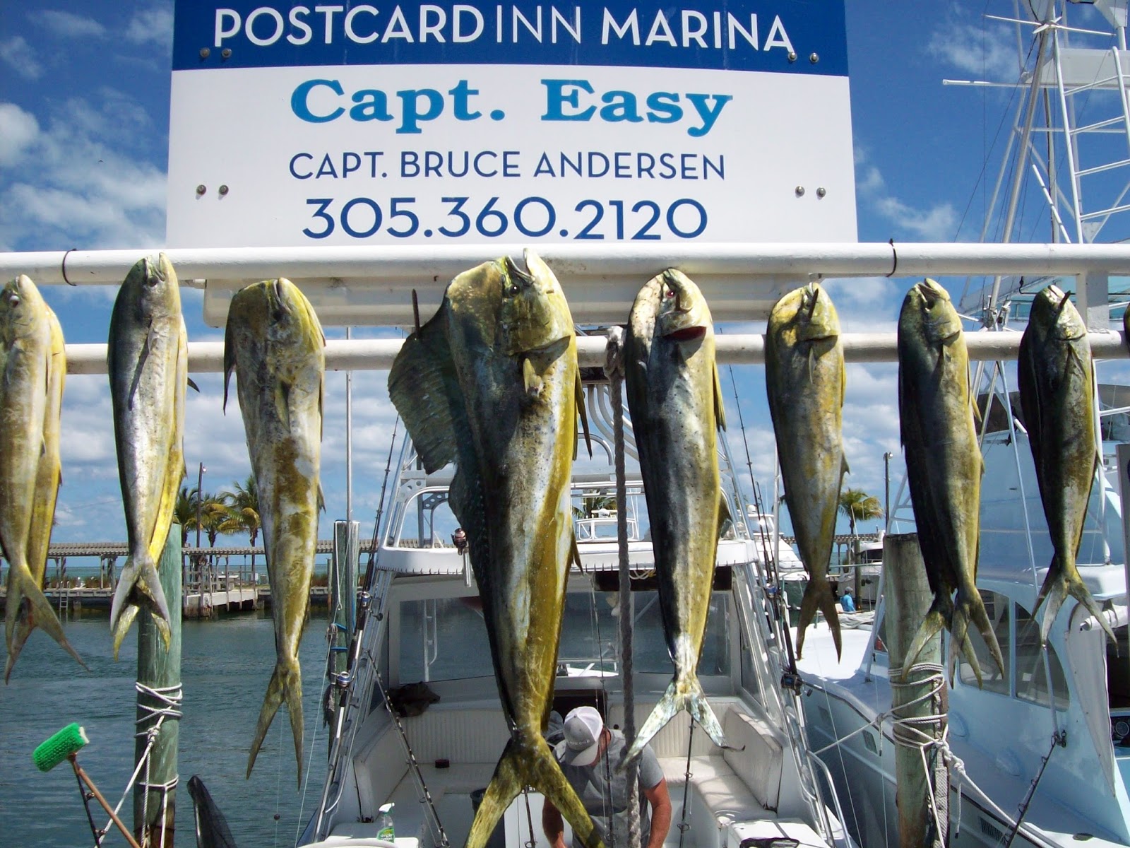 Postcard Inn Resort & Marina at Holiday Isle Captain's Fishing Report
