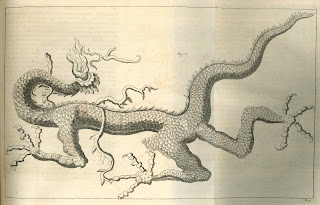 An illustration of a three-legged, wingless dragon.