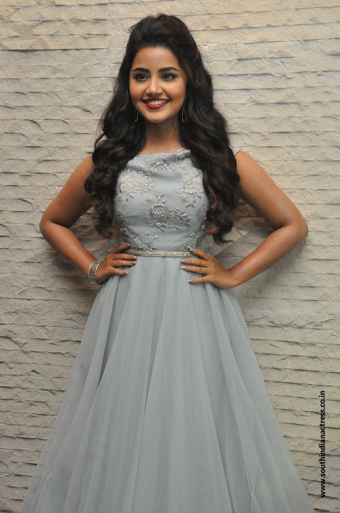 Anupama Parameswaran at Vunnadi Okate Zindagi Pre Release