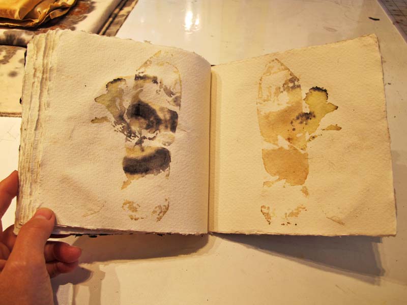 Jennifer Coyne Qudeen A book of tea