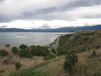 Península de Kaikoura, en Nueva Zelanda Península de Kaikoura, en Nueva Zelanda