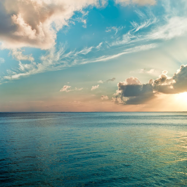 Lightroom Presets & Tutorials and Printable Calendars: Lightroom