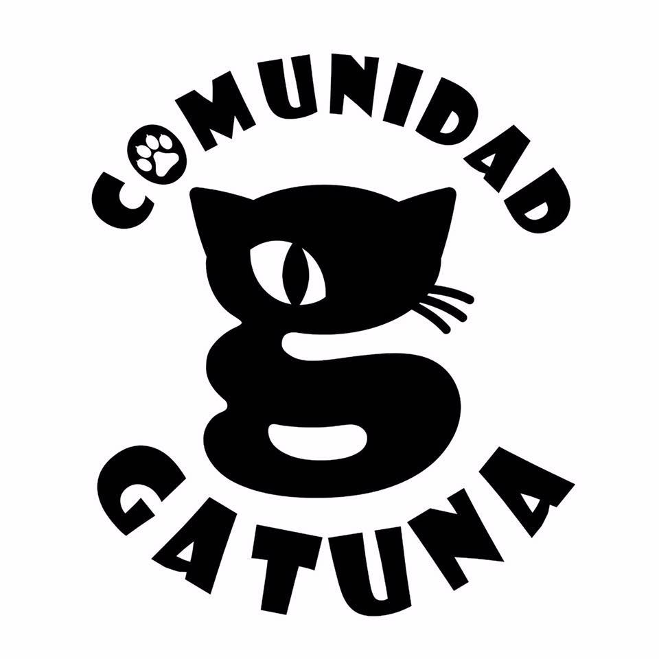 Adopta un gato de la Comunidad Gatuna de Ceuta