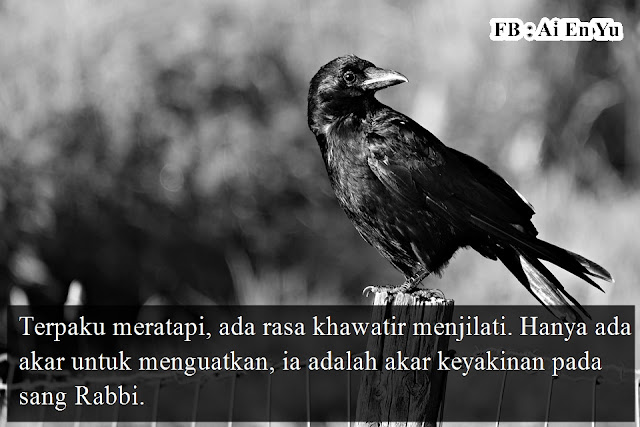 100 Kata-Kata Mutiara Terbaru Yang Akan Membuatmu Tersenyum Dan Juga Baper 100 Kata-Kata Mutiara Terbaru Yang Akan Membuatmu Tersenyum Dan Juga Baper