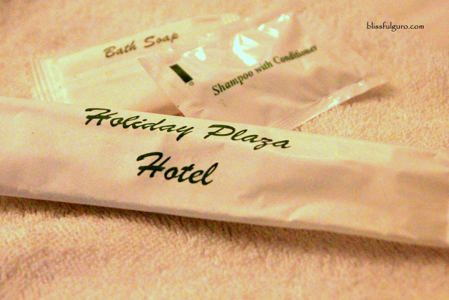 Holiday Plaza Hotel Tuguegarao Blog