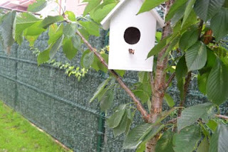 Vallas de Jardin Cantabria