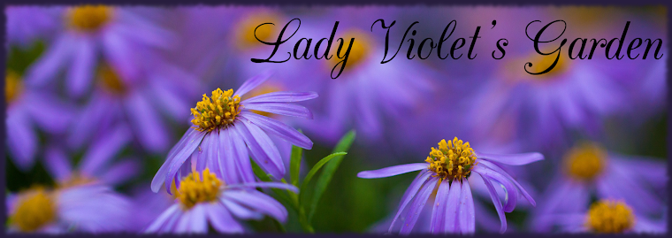 Lady Violet's Garden
