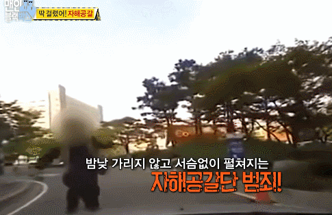 도로위의 자해공갈.gif | 인스티즈