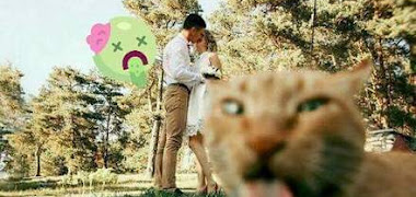 قصة غزلان في خاخالاند