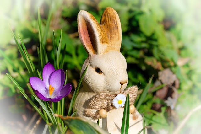 Easter bunny crocus spring, by Bruno Glätsch on Pixabay Image: Easter bunny crocus spring, by Bruno Glätsch on Pixabay
