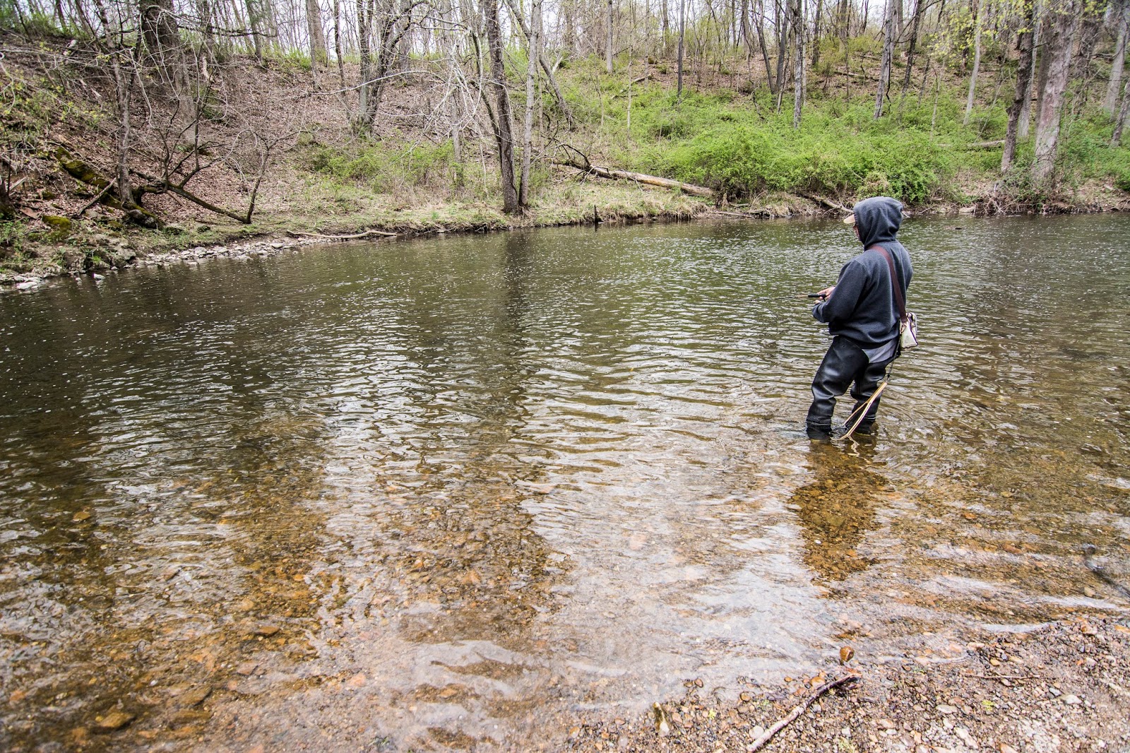 Litton's Fishing Lines: Califon South Branch Raritan Rainbow Trout Rollick