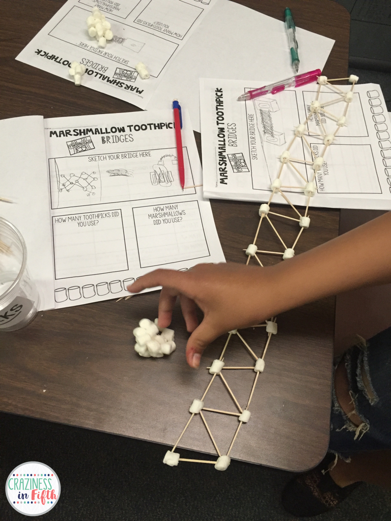 Craziness in Fifth Marshmallow Toothpick Bridges & FREEBIE!