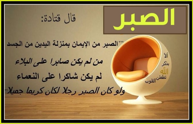 اقوال ممتازة 08 06 18