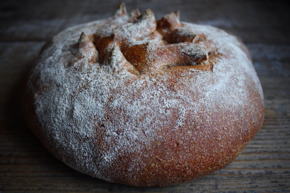 bread proofing box  Bewitching Kitchen