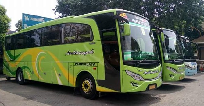 Ardiansyah: Mengukir Jejak di Industri Pariwisata Lewat Layanan Bus yang Prima