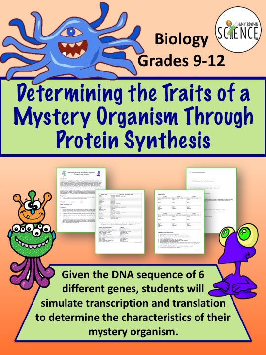 Amy Brown Science Protein Synthesis Made Fun!