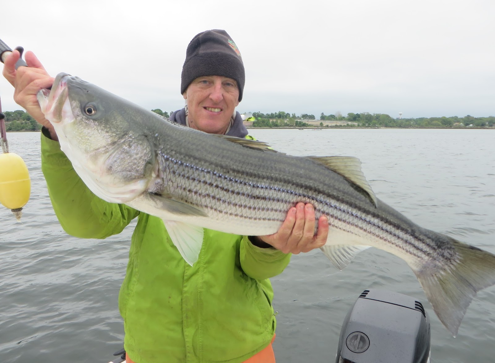 Rhode Island Striped Bass Pic of the Day "Big Fish on the Rampage!"
