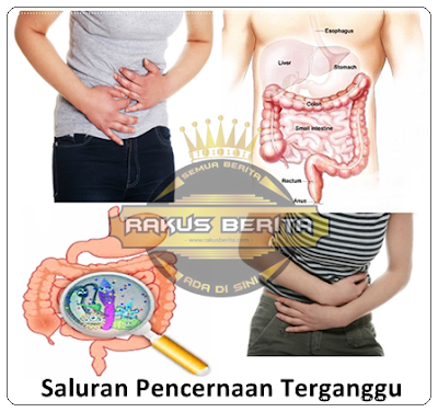 Mengkonsumsi Mie Terlalu Banyak Dapat Menggangu Pencernaan Mengkonsumsi Mie Terlalu Banyak Dapat Menggangu Pencernaan