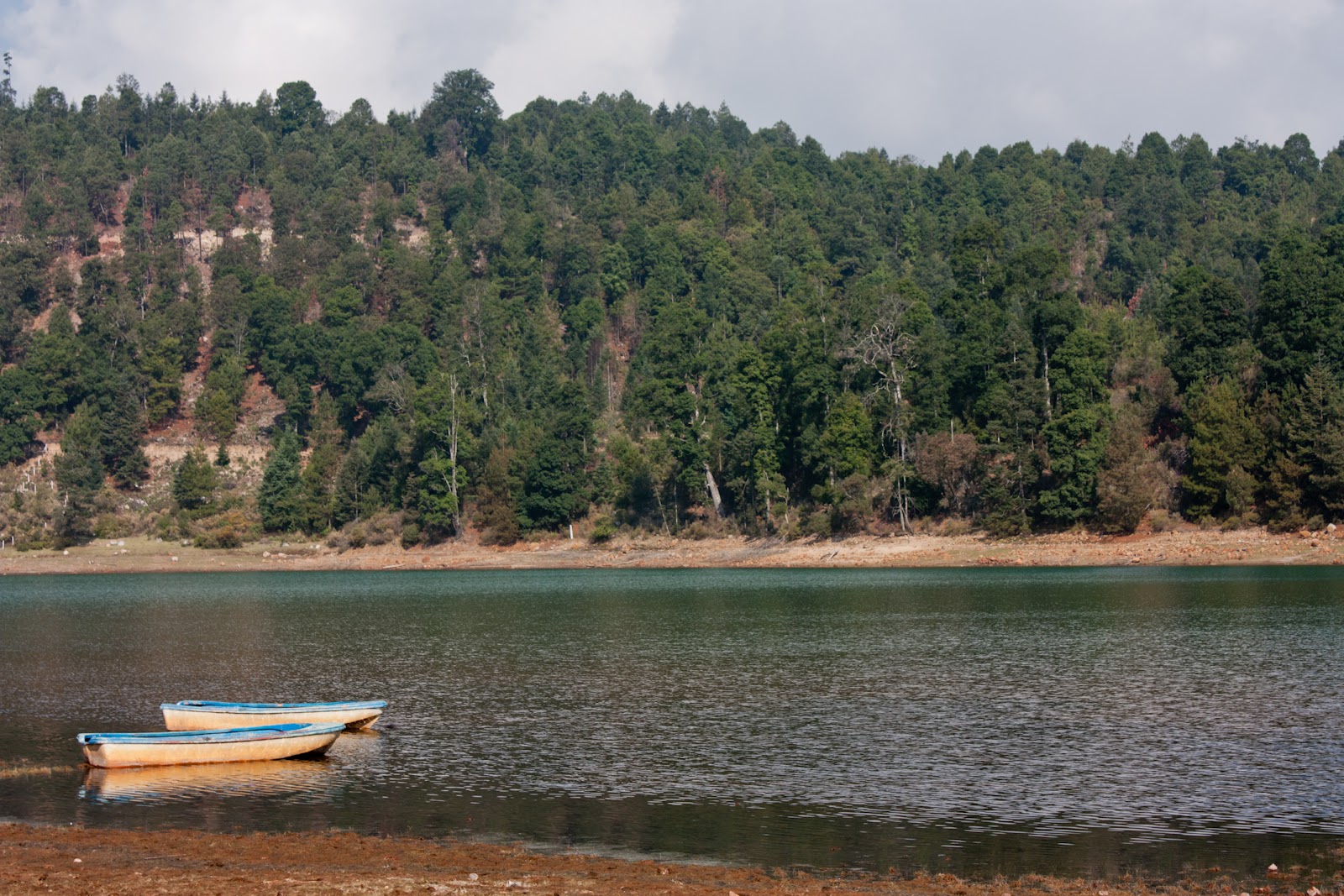 Fotográfico Laguna Larga, Los Azufres Michoacán Fotográfico Laguna Larga, Los Azufres Michoacán