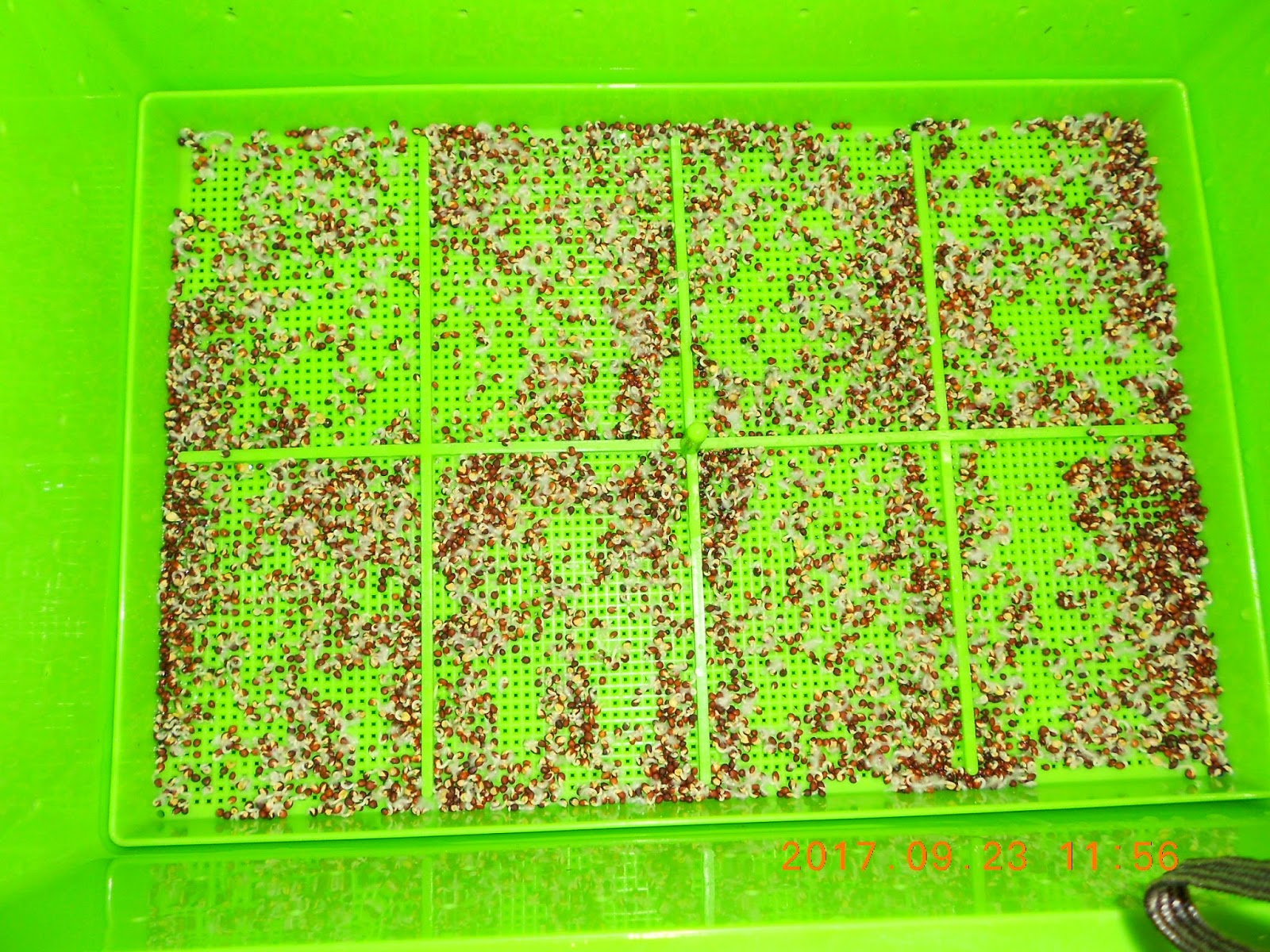 �����R,�����R��,���Ⱚ�R��,������ŵ�,�����R��i,�����R����i,�����ŵ��ܦ�,�����ŵ浵���ߵ�,�����R��