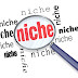 How To Grow Your Readership When You Have A Niche Blog 