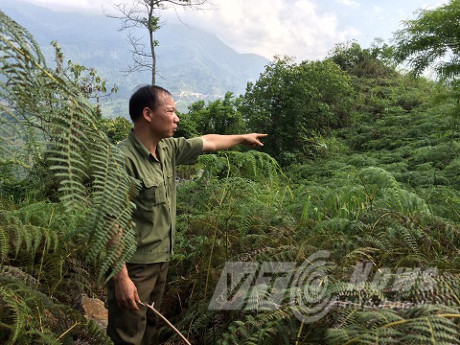 Chuyen chua ke ve cuoc tu chien voi quan Trung Quoc o 'Lo voi the ky' Ha Giang - Anh 3