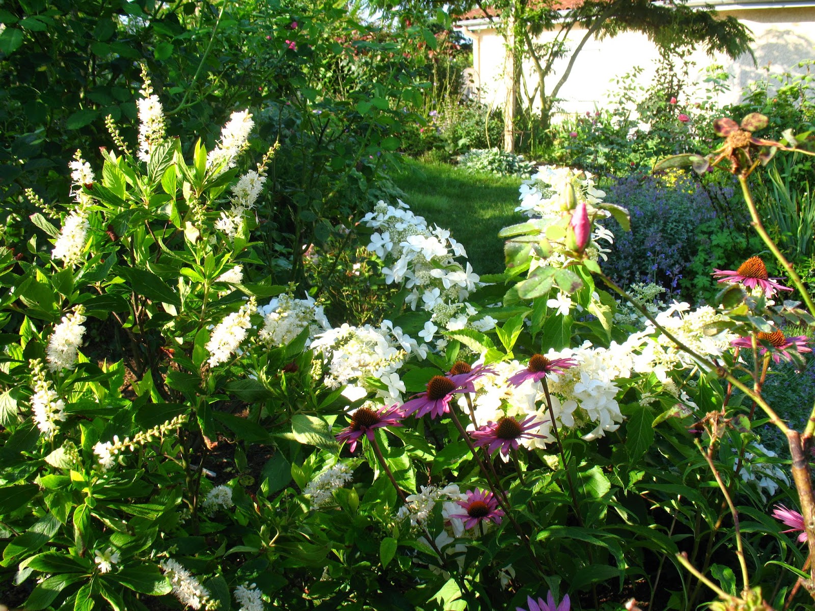 Epingle Par Andree A Sur Arrangements Hydrangea Pivoine Et