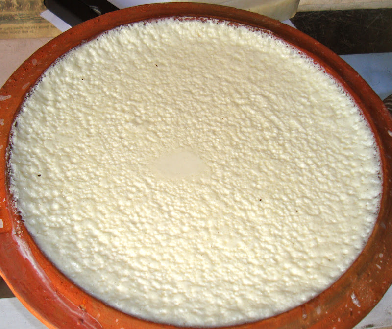 Taste of Nepal Juju Dhau (The King Yogurt from Bhaktapur, Nepal)