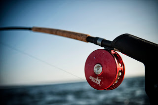 One of Escott Sportfishing choice gear :  Abel Reels 