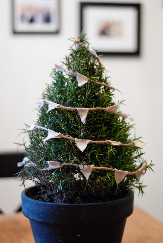 Small rosemary bush decorated with handmade bunting. Mini tabletop Christmas tree diy by Bayside Bride 