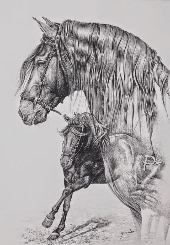 dibujos-de-caballos-imagenes