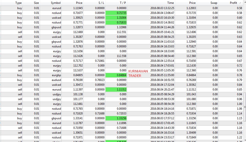 Holy grail dalam forex