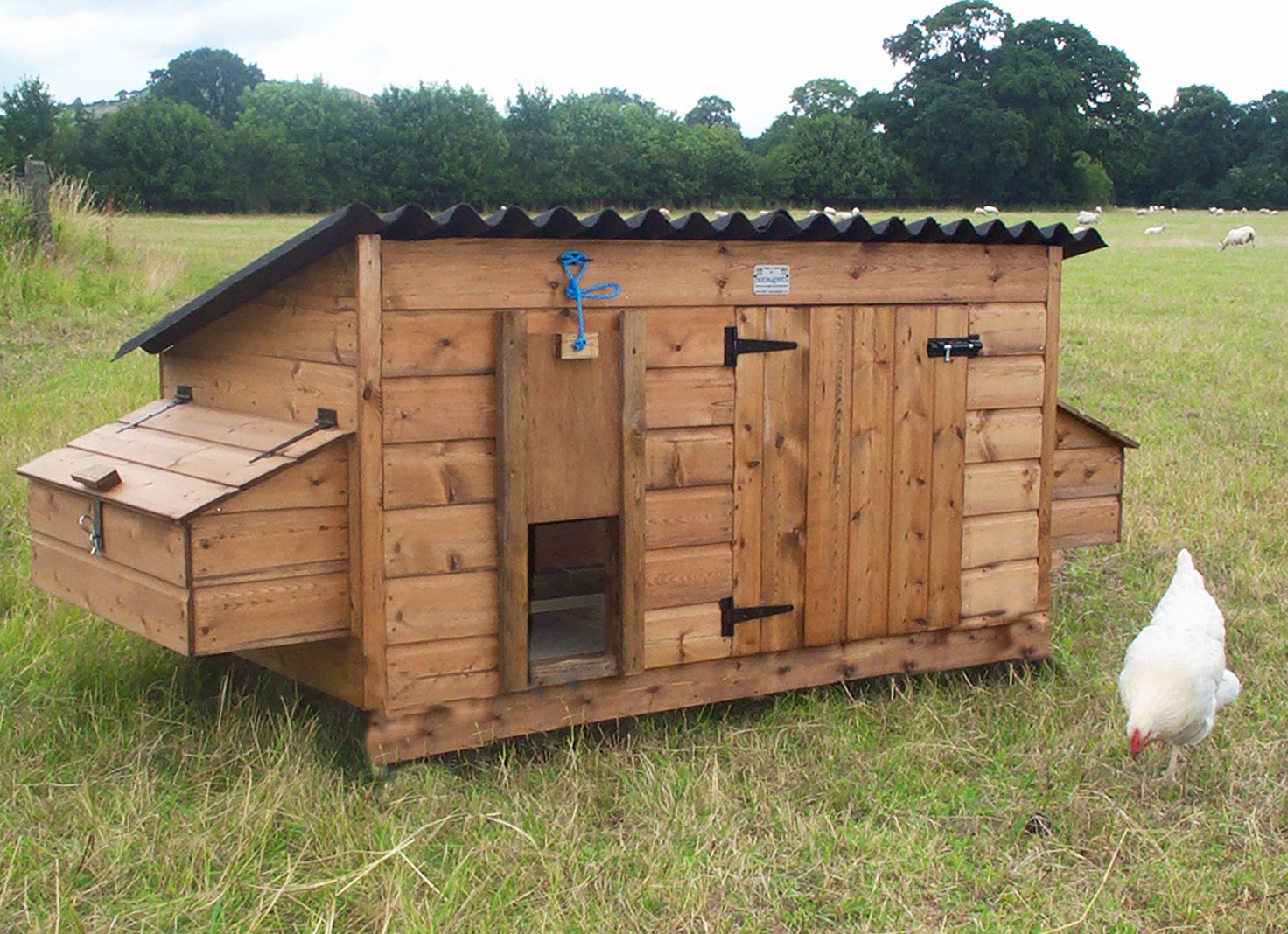 Chicken House Plans: Simple Chicken Coop Designs - Chicken House Designs11