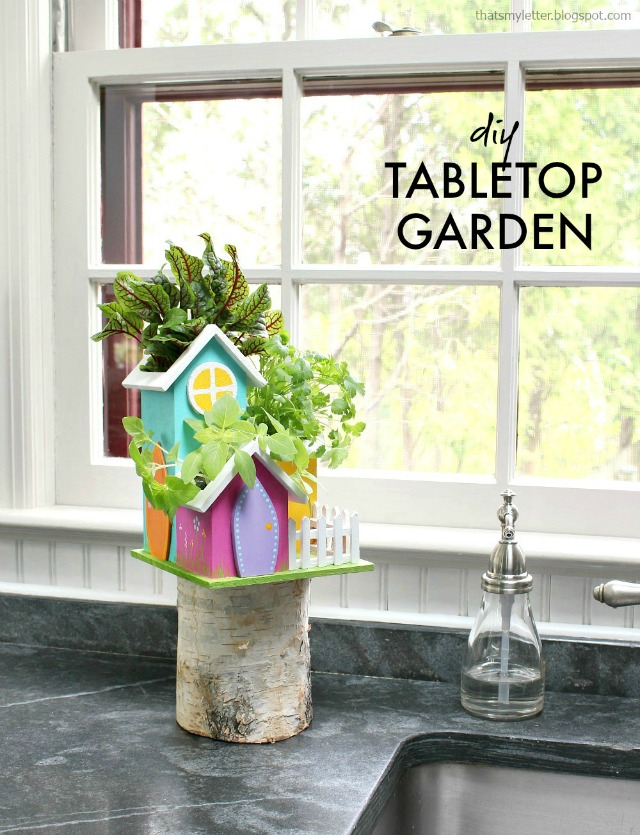  DIY Tabletop Garden Video