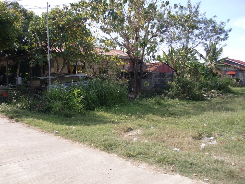 Lot For Sale Mangaldan Pangasinan ALREADY SOLD Reynan8 FastLane