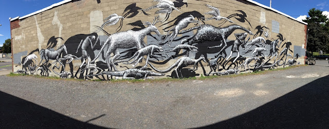Street Art By British Artist Phlegm On The Streets Of Albany, USA.