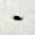 Flying saucer with orbiting transformer probe