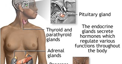 Ecografia de tiroides para que sirve