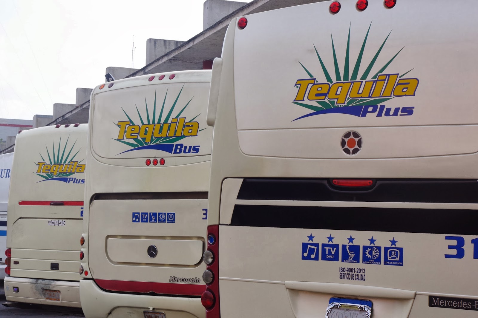 Paren el mundo que me subo GUADALAJARA