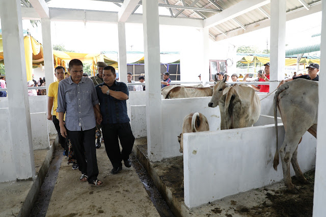 Bupati Asahan Taufan Gama Simatupang meninjau kondisi hewan di pasar hewan. Bupati Asahan Taufan Gama Simatupang meninjau kondisi hewan di pasar hewan.