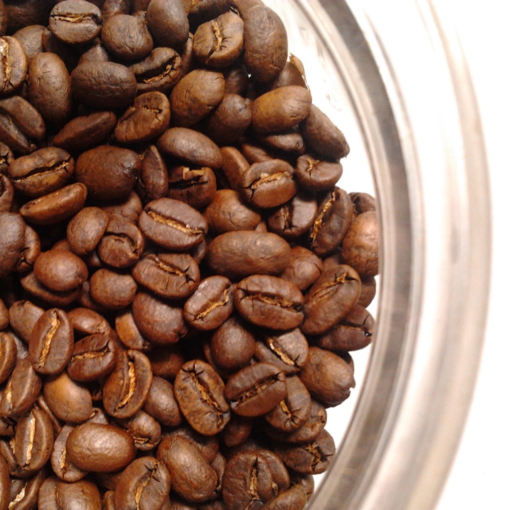 Gum media gummi. обжаренная робуста. гума арабика. бычья желчь talens 75 мл. кофе в зернах.