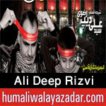 http://www.humaliwalayazadar.com/2012/11/blog-post_9265.html